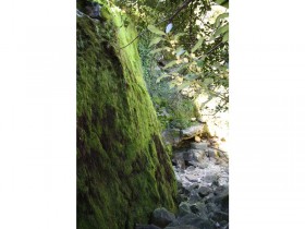 Fontes de Cima